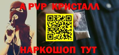 шишки Лесосибирск