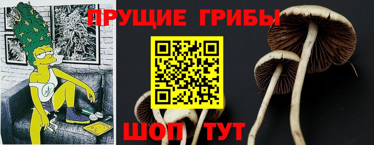 Ефремов  как найти закладки  Вход с VPN  Галлюциногенные грибы Psilocybe  Галлюциногенные грибы Psilocybe 